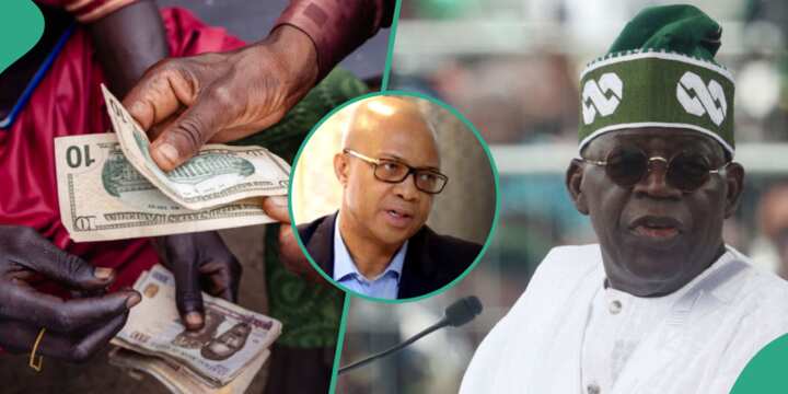 Naira to Dollar Exchange Rate will Improve in 2024- FG