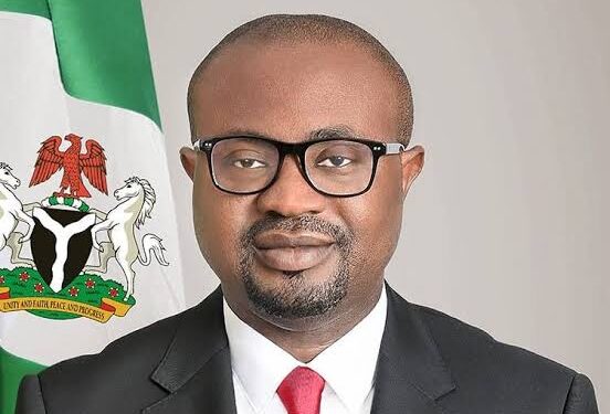 Nigeria to Launch Passport Application Automation, Review Immigration Policy