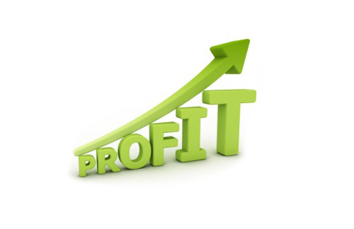 NIDF Reports 97.99% Growth in Profit