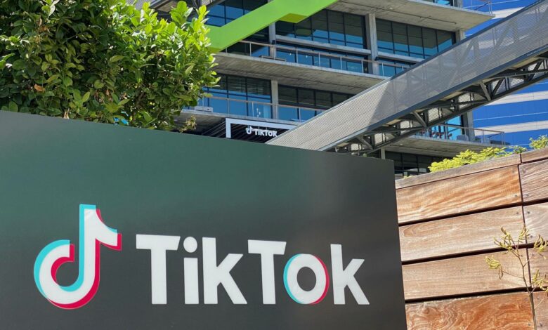 TikTok announces industry-first sub-Saharan Africa Safety Advisory Council