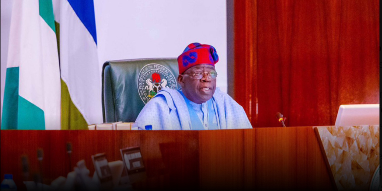 Tinubu Appoints Board for Nigerian Power Operator