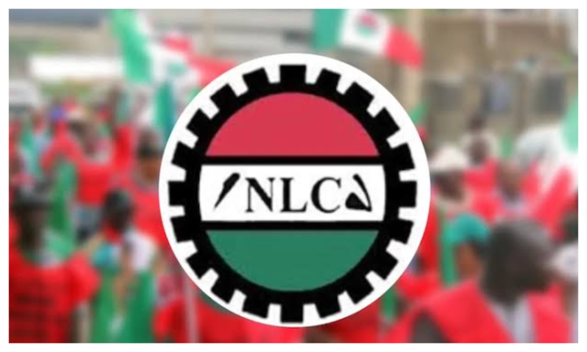 NLC Warns 15% Fuel Import Duty Could Trigger Petrol Price Manipulation in Nigeria